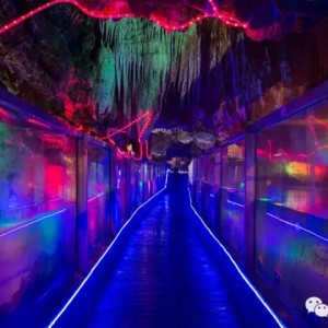 来咸宁旅游，七条线路任你选择！