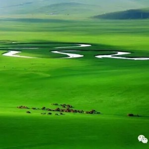 免费！走吧网“免费旅行体验师”招募活动正式开始啦！