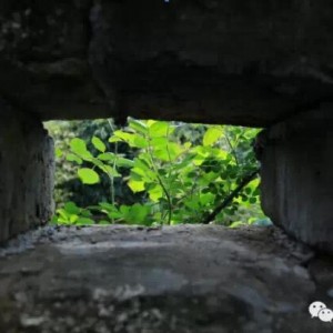 悠游《白蛇传说》外景地崇阳超详细攻略