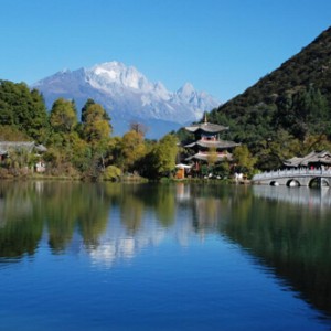 途家网：春光无限好，呼朋唤友自驾去踏青