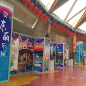 2015年东丽区旅游嘉年华启动仪式