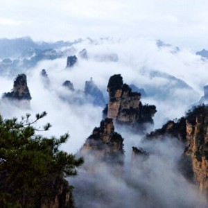 乘百龙天梯观袁家界醉人美景