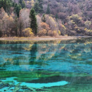 #花样游记大赛#行走在天堂――九寨沟黄龙