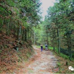咸宁避暑不止有九宫山，通城黄龙山你绝hold不住