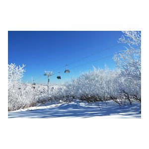 京张申办场馆考察结束 张家口赛区成滑雪胜地