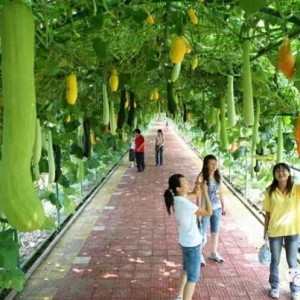 咸宁旅游之五条精品1日游线路，快放松来吧！