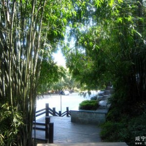 咸宁不可错过的五条精品旅游线路