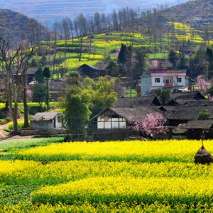 三月咸宁旅游踏青赏花好去处