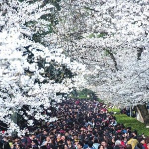 赴义乌国际五金电器博览会，抢商机，领大奖
