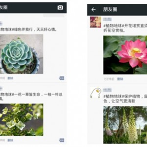 塞舌尔Savoy度假村推出全新水疗服务