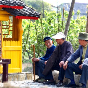 走不完，拍不完，苏州春节真好玩
