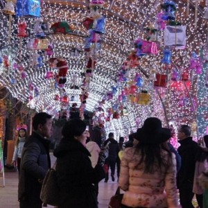途牛网：“跨年”游预订火热  马尔代夫最受宠