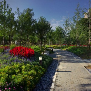 北京营城建都滨水绿道