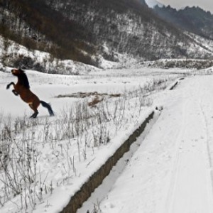 冬季赏雪最佳去处――巫溪红池坝