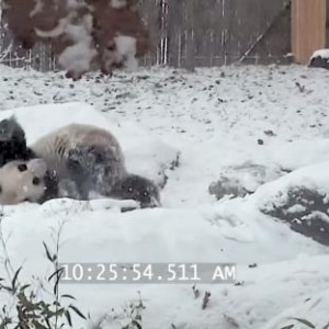 女子滑雪被撞倒骨折 起诉撞人者获赔15万