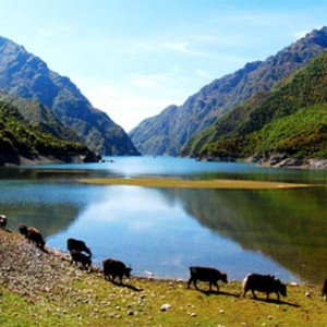 十一畅游冶力关 体验“生态大观园”