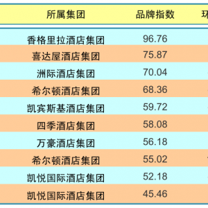 2014年9月中国酒店业国际品牌发展报告