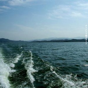 太极湖送出万张船票 “终极大奖”等你拿