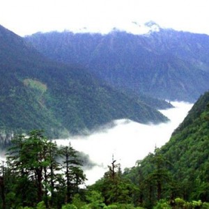 3名驴友四川黑竹沟失联20天 探险游成冒险游