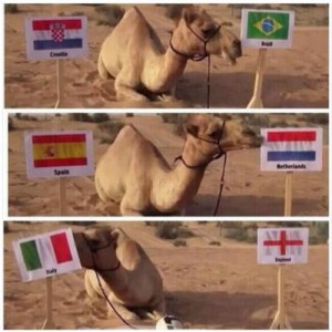 谁是下一个保罗？CAMEL骆驼挺德国PK神驼沙赫恩