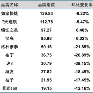 2014年4月中国酒店业经济型品牌发展报告