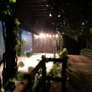 探密青岛神奇雨林展的艺术真谛