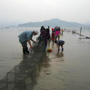 麦苗街赶海一号快乐出发 亲子赶海之旅周周发团
