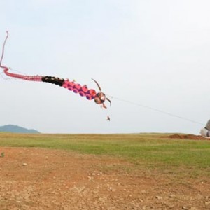 三月三祈福放风筝 达人齐聚武当太极湖