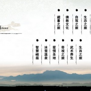 “一山一茶 
