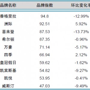 2014年3月中国酒店业国际品牌发展报告