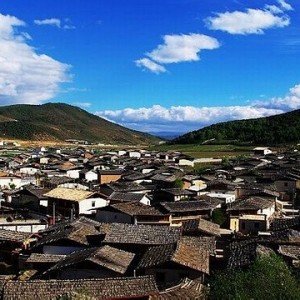 成都商报:生命经得起冒险却经不起冒失