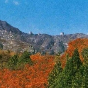 最美骑行路线之北京五座楼森林公园