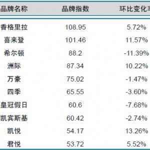 2014年2月中国酒店业国际品牌发展报告