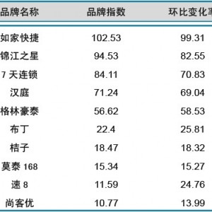 2013年12月中国酒店业经济型品牌发展报告