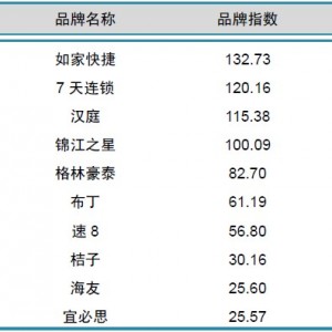 2014年1月中国酒店业经济型品牌发展报告