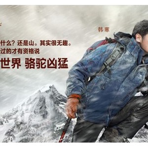 从骆驼代言人营销，看传播玩法的进化