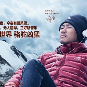 2013电商十大事件，CAMEL骆驼上榜