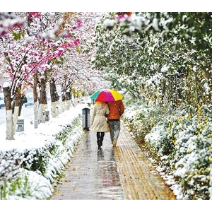 云南1400人被困雪中20小时 游客徒步寻食
