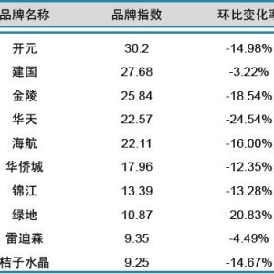 2013年11月中国酒店业国内品牌发展报告