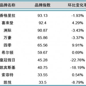 2013年11月中国酒店业国际品牌发展报告
