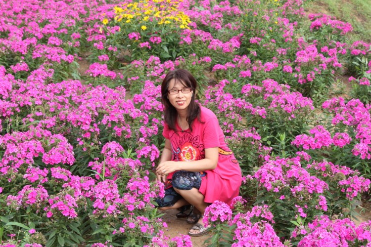 青山绿水花海--延庆百里画廊自驾游记