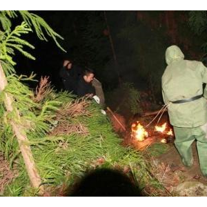 女孩放学路上被毒蜂袭击身亡 蜂窝已烧毁