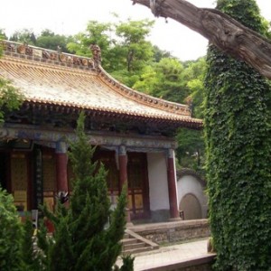 心灵洗礼之旅 细览甘肃名佛（图）