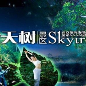 网友呼吁文明出游莫让风景区变垃圾海
