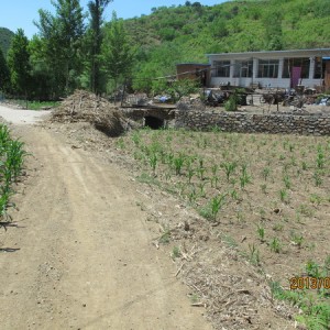 “挑战8小时”慈善徒步越野赛赛道抢先看