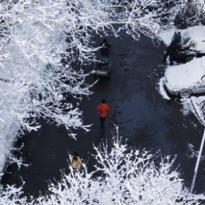 北京迎多年未见桃花雪成春日美景