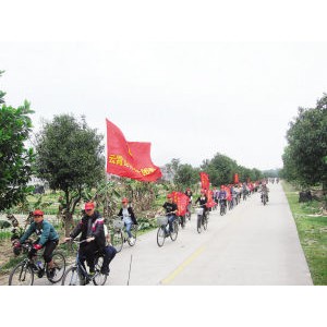 网友建议省下烟花钱发展公共自行车