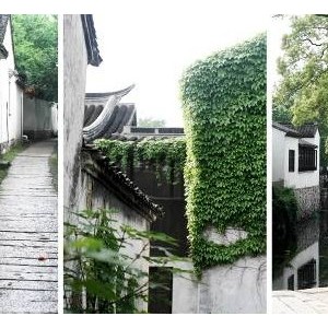 姑苏三月 卡片长焦明基LH500带你去踏春