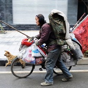 北京五环、六环两侧绿化带将可骑行