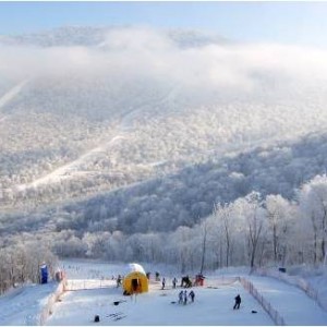 880元体验周末两滑 预祝沈阳-北大壶极速滑雪直通车顺利通车